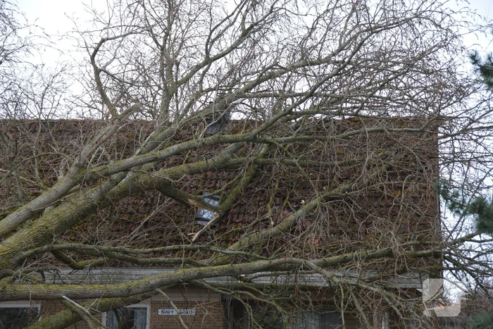 Grote boom omgewaaid op woning
