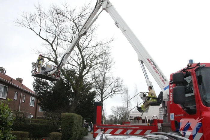Brandweer haalt gevaarlijke takken uit boom