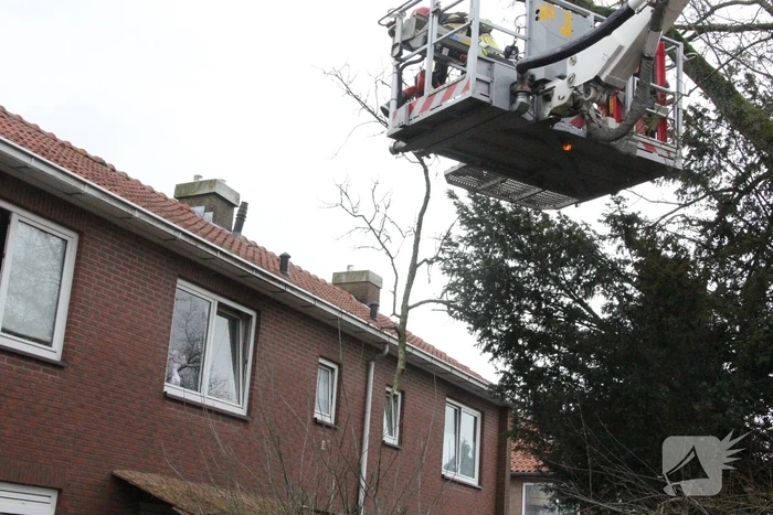 Brandweer haalt gevaarlijke takken uit boom