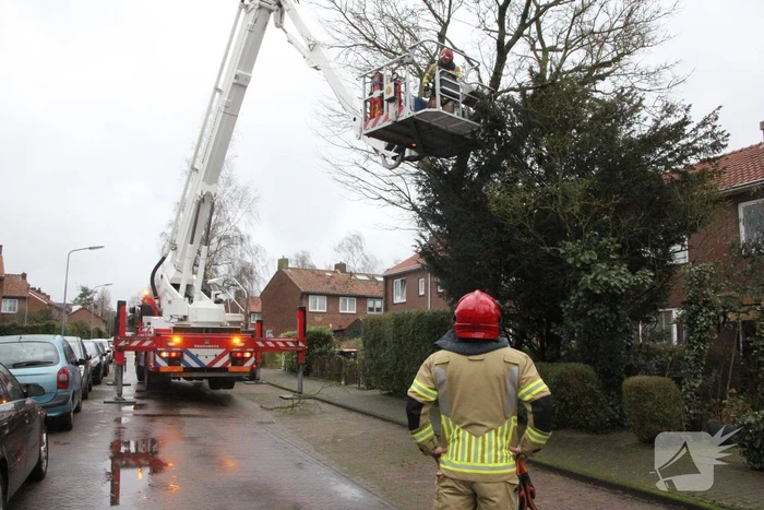 Brandweer haalt gevaarlijke takken uit boom