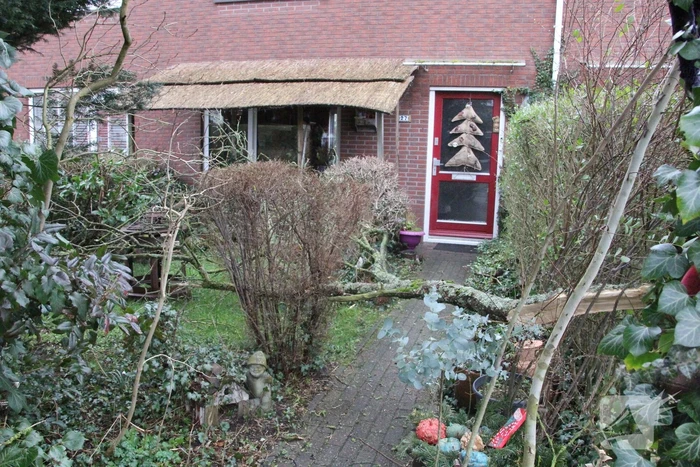 Brandweer haalt gevaarlijke takken uit boom