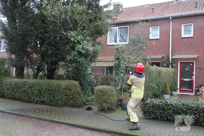 Brandweer haalt gevaarlijke takken uit boom