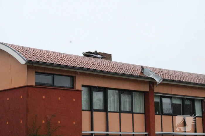 natuur brigade irenelaan bolsward