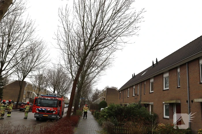 Boom dreigt op woning te vallen