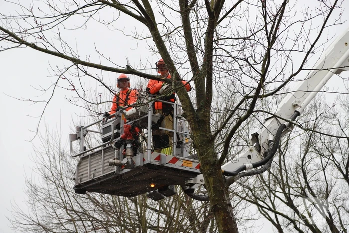 natuur baljuw naarden