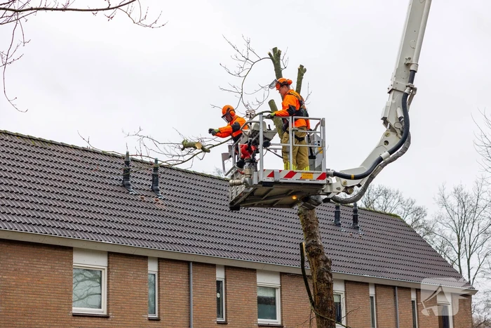 Boom dreigt op woning te vallen