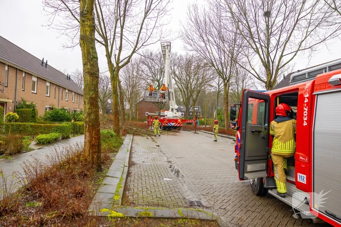 Boom dreigt op woning te vallen
