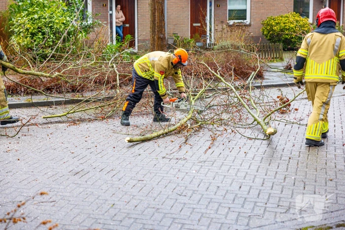Boom dreigt op woning te vallen