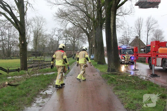 Brandweer zaagt gevaarlijk hangende tak uit boom