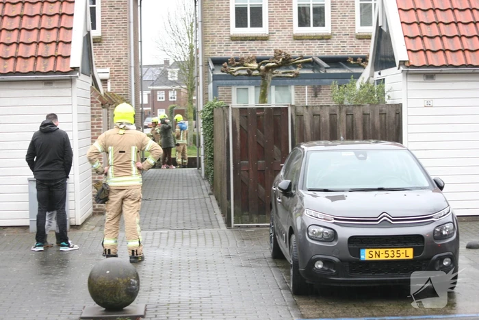 natuur singelkade middelharnis