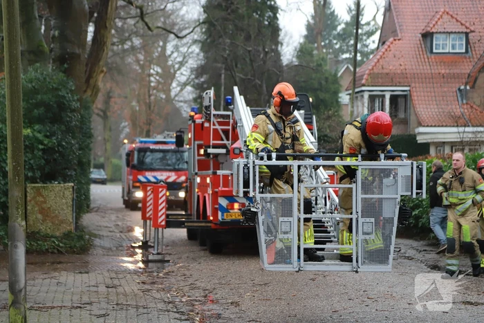 Boom dreigt op auto's te vallen