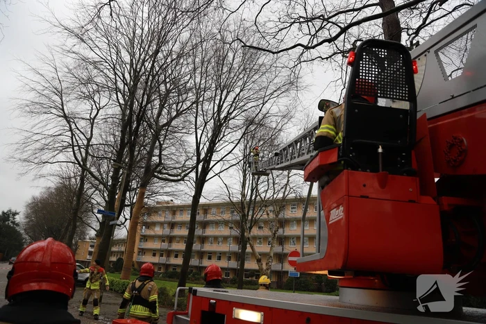 Boom dreigt op auto's te vallen