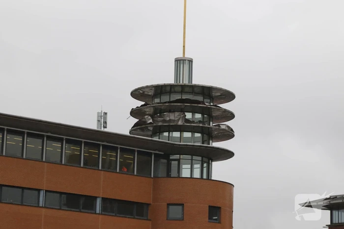 natuur schapenkamp hilversum