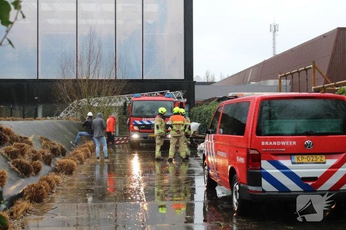 Wateroverlast bij tropisch bos Omnium