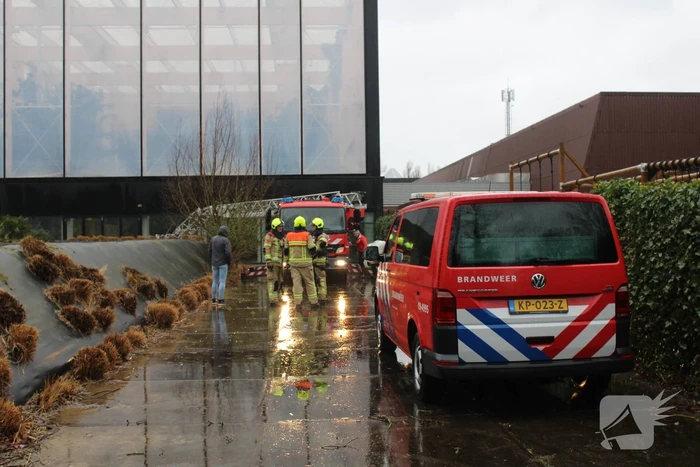 Wateroverlast bij tropisch bos Omnium