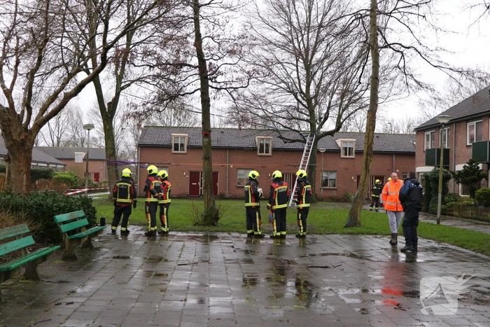 natuur piet mondriaanlaan roelofarendsveen