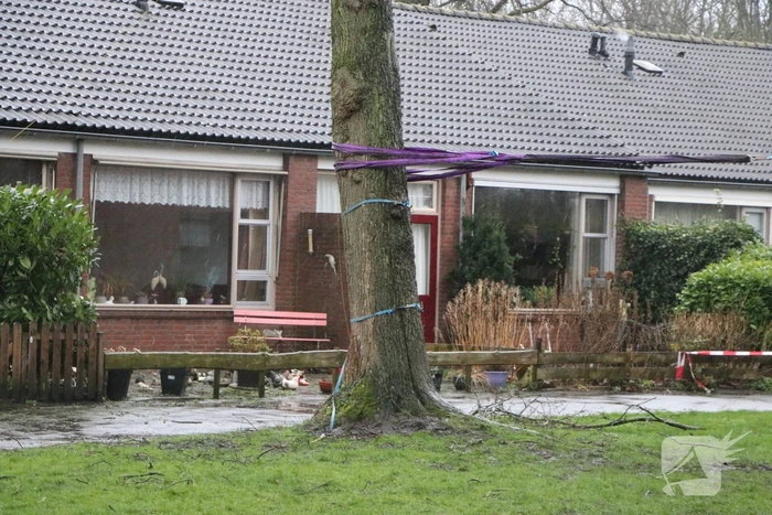 Woningen ontruimd nadat bomen dreigen om te waaien