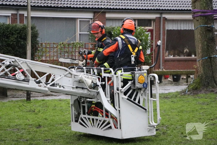 Woningen ontruimd nadat bomen dreigen om te waaien