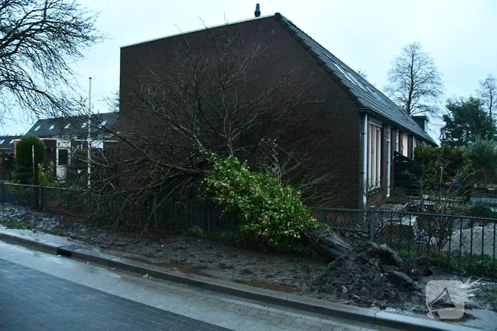 natuur purmer lelystad