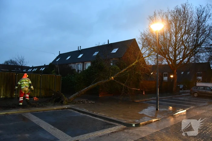 Boom valt tegen woning
