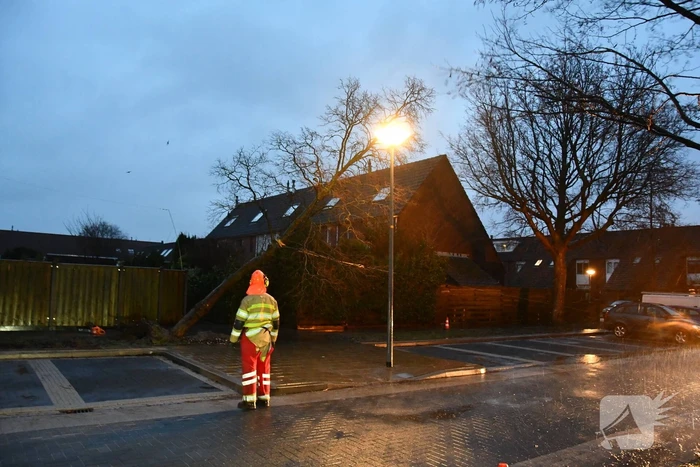 Boom valt tegen woning