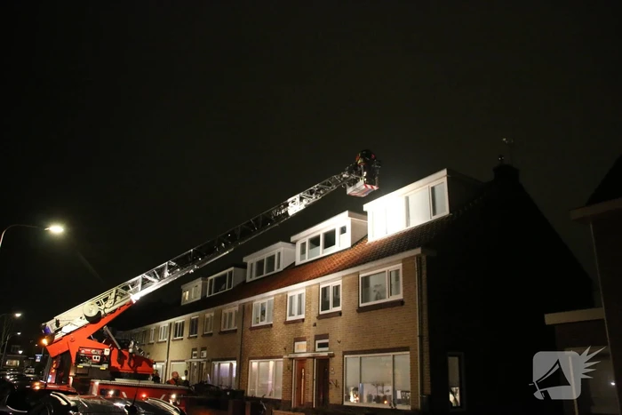 natuur zoutmanstraat noordwijk