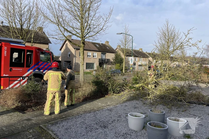 Gevelde boom door storm Franklin in stukken gezaagd