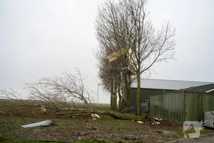 Windhoos storm Franklin zorgt voor enorme schade