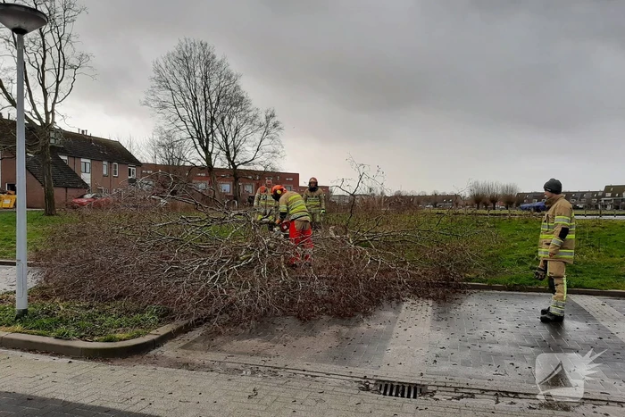 Brandweer haalt gevaarlijk hangende boom neer
