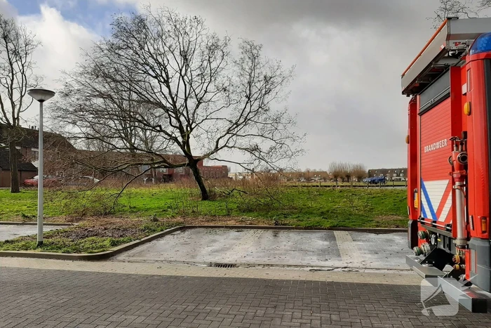 Brandweer haalt gevaarlijk hangende boom neer