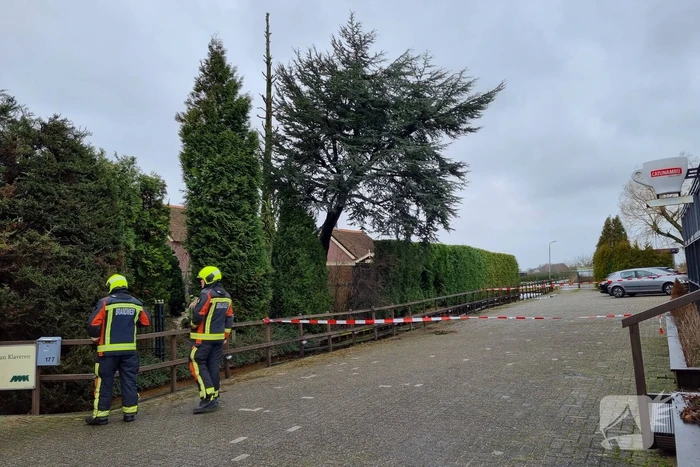 Gevaarlijk hangende boom neergehaald door brandweer