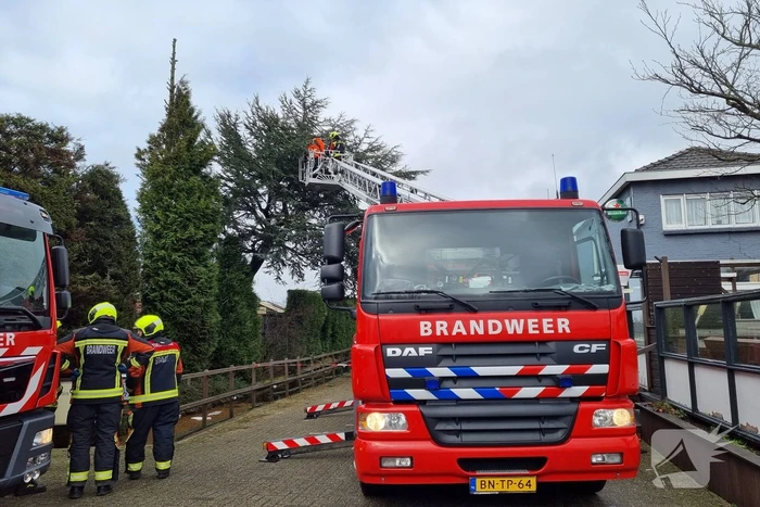 Gevaarlijk hangende boom neergehaald door brandweer
