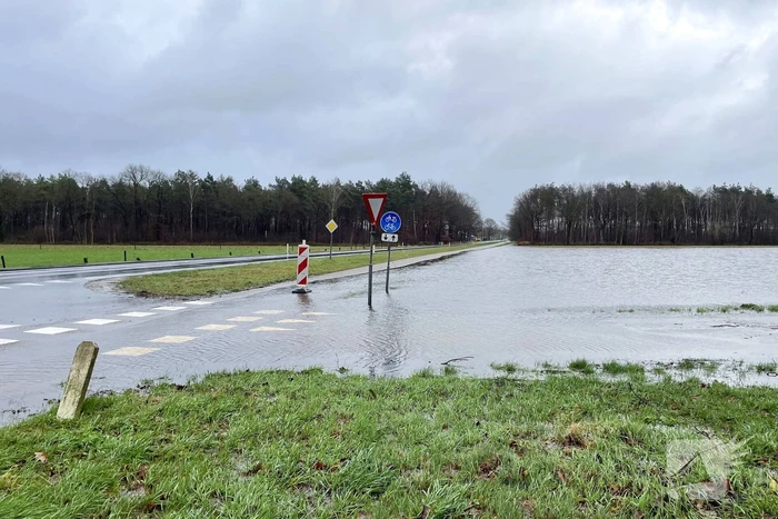 natuur bolscherdwarsweg bornerbroek