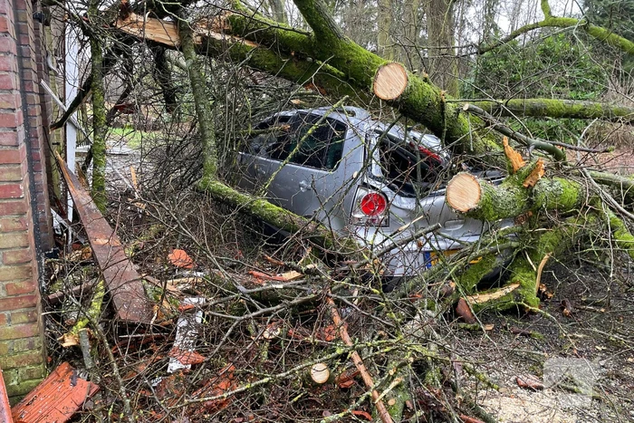 Auto bedolven onder omgewaaide boom