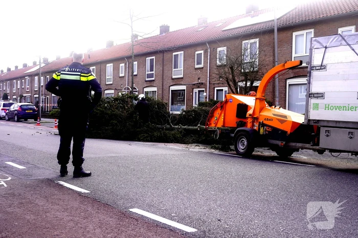 Door storm aangetaste boom neergehaald
