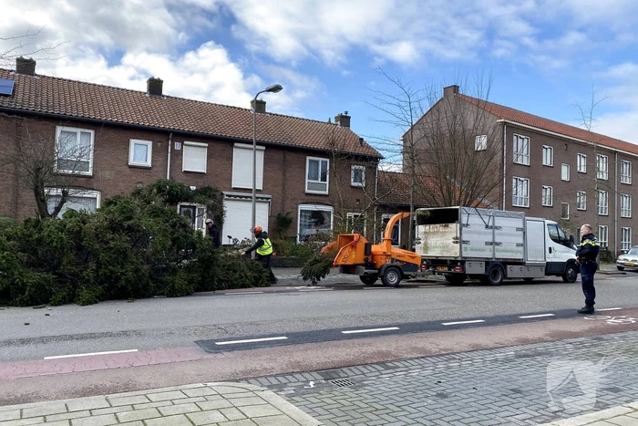 natuur koningin wilhelminaweg gouda