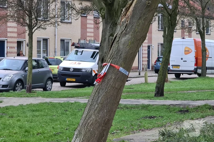 Brandweer ingezet voor scheefstaande boom