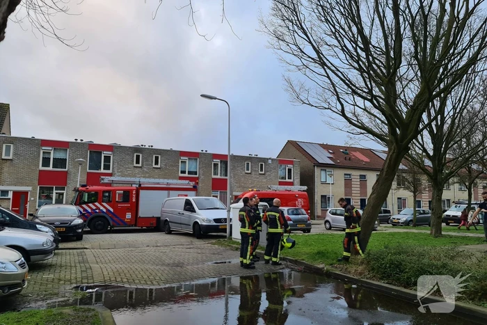 Brandweer ingezet voor scheefstaande boom