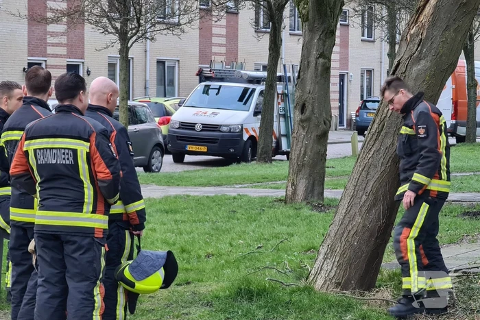 Brandweer ingezet voor scheefstaande boom