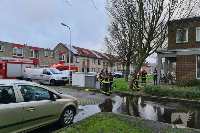 Brandweer ingezet voor scheefstaande boom