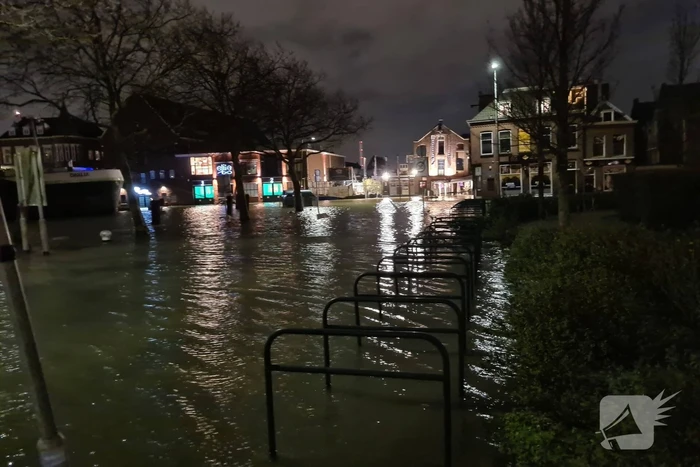 natuur oosthavenkade vlaardingen