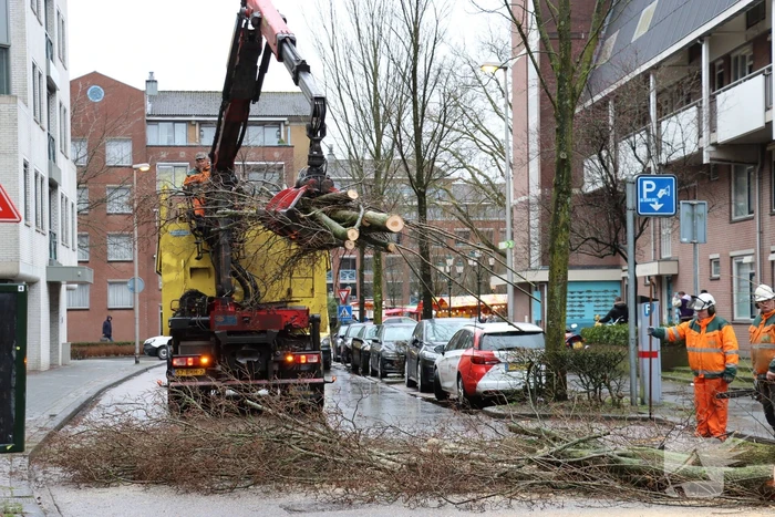 Spoedkap bij boom, busverkeer tijdelijk gestremd