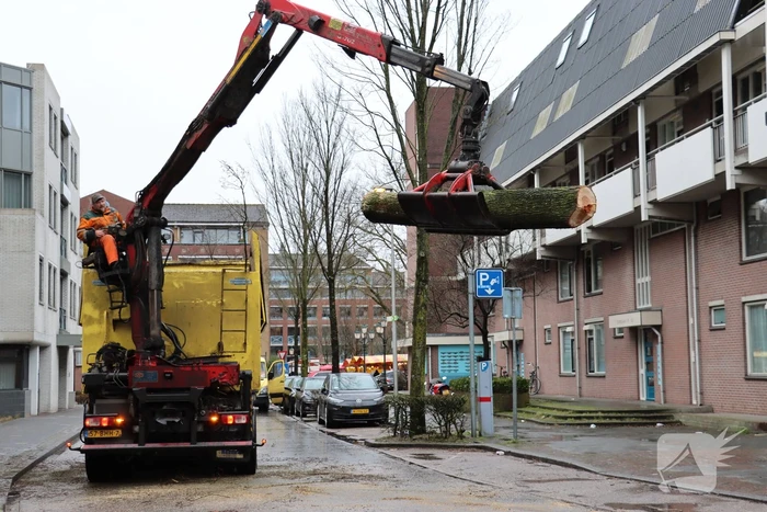 Spoedkap bij boom, busverkeer tijdelijk gestremd
