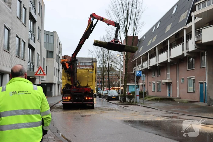 Spoedkap bij boom, busverkeer tijdelijk gestremd