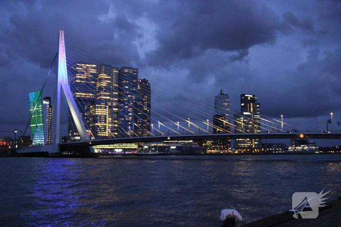 nieuws erasmusbrug - s122 rotterdam