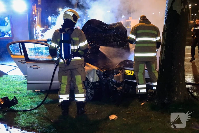 Auto vliegt in brand na botsing tegen boom