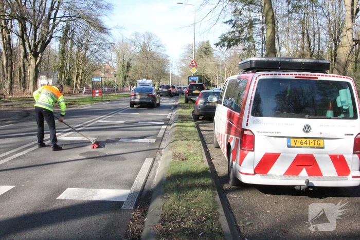 Auto's zwaarbeschadigd bij kop-staartbotsing