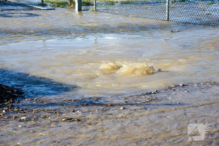 Waterballet op terrein van chemisch bedrijf