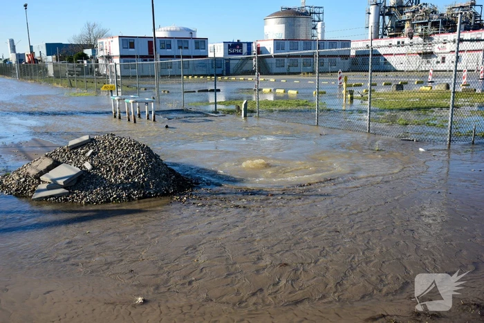 Waterballet op terrein van chemisch bedrijf