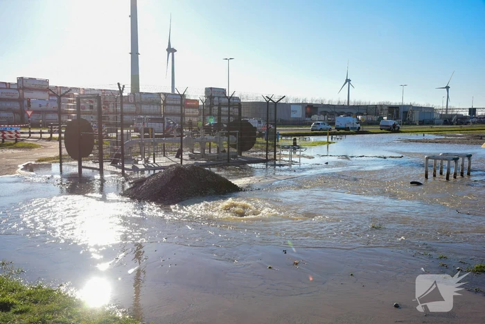 Waterballet op terrein van chemisch bedrijf